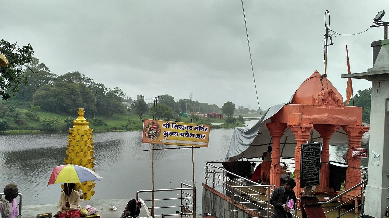 Siddhwat Ujjain Sacred Banyan Tree for Pind Daan & Pitra Dosh Tarpan